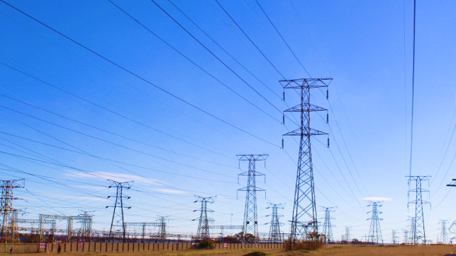 Electricity Dept
